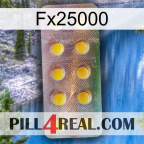 Fx25000 new11